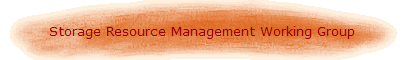 Storage Resource Management Working gROUP